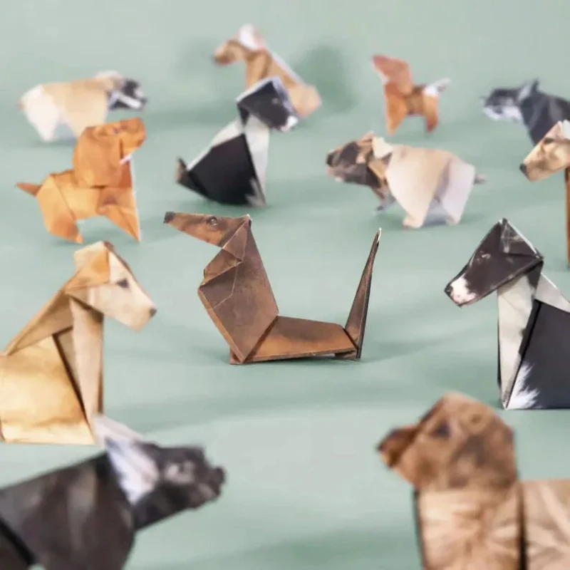 Creative DIY Paper Cats 50 She - Art Craft Dinosaurs review and price
