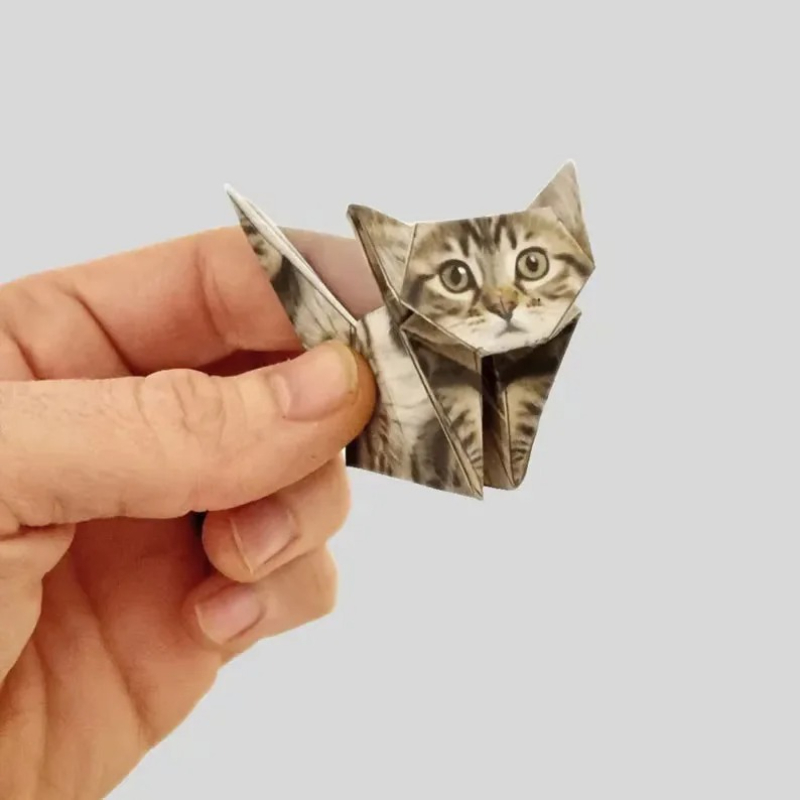 Creative DIY Paper Cats 50 She - Art Craft Dinosaurs review and price