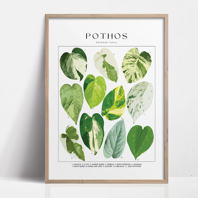 1pc Modern Houseplants Leaves  - Art Craft House review and price