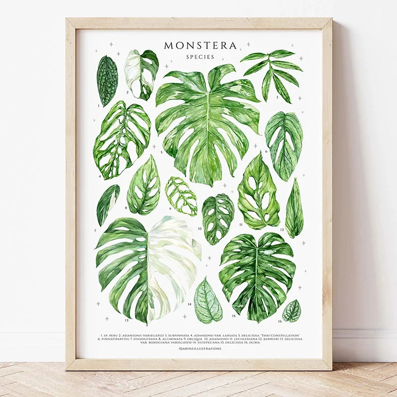 1pc Modern Houseplants Leaves  - Art Craft House review and price