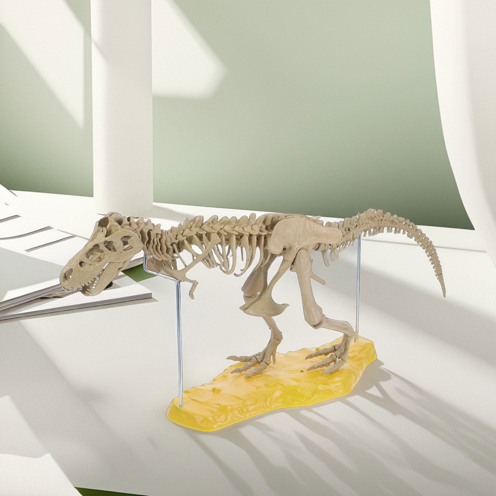 1Set Assembly Dinosaur PVC Kit - Art Craft Dinosaurs review and price
