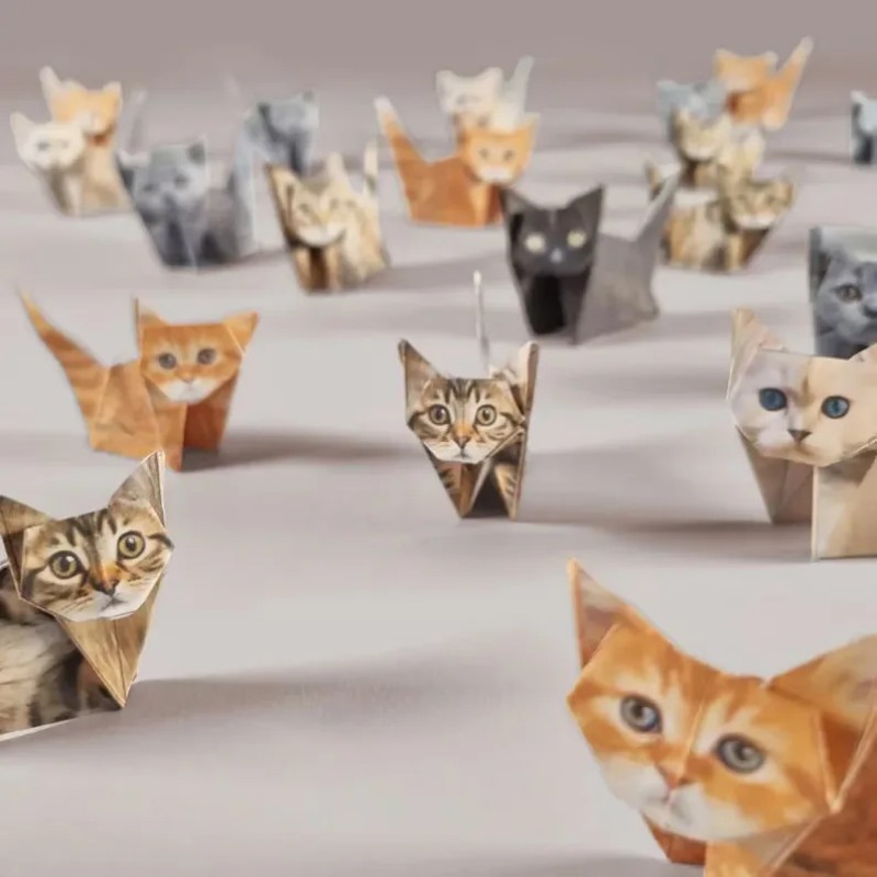 Creative DIY Paper Cats 50 She - Art Craft Dinosaurs review and price