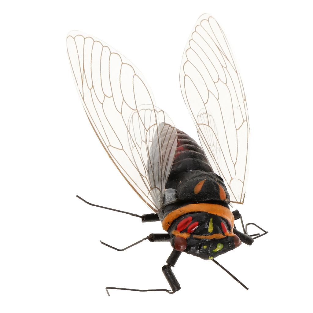 2X Clay Insect Model Fridge Ma - Art Craft Clay review and price