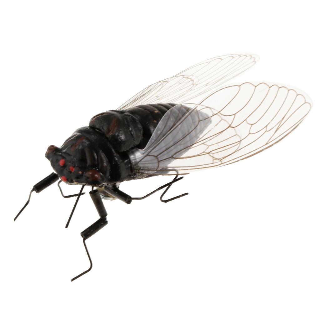 2X Clay Insect Model Fridge Ma - Art Craft Clay review and price