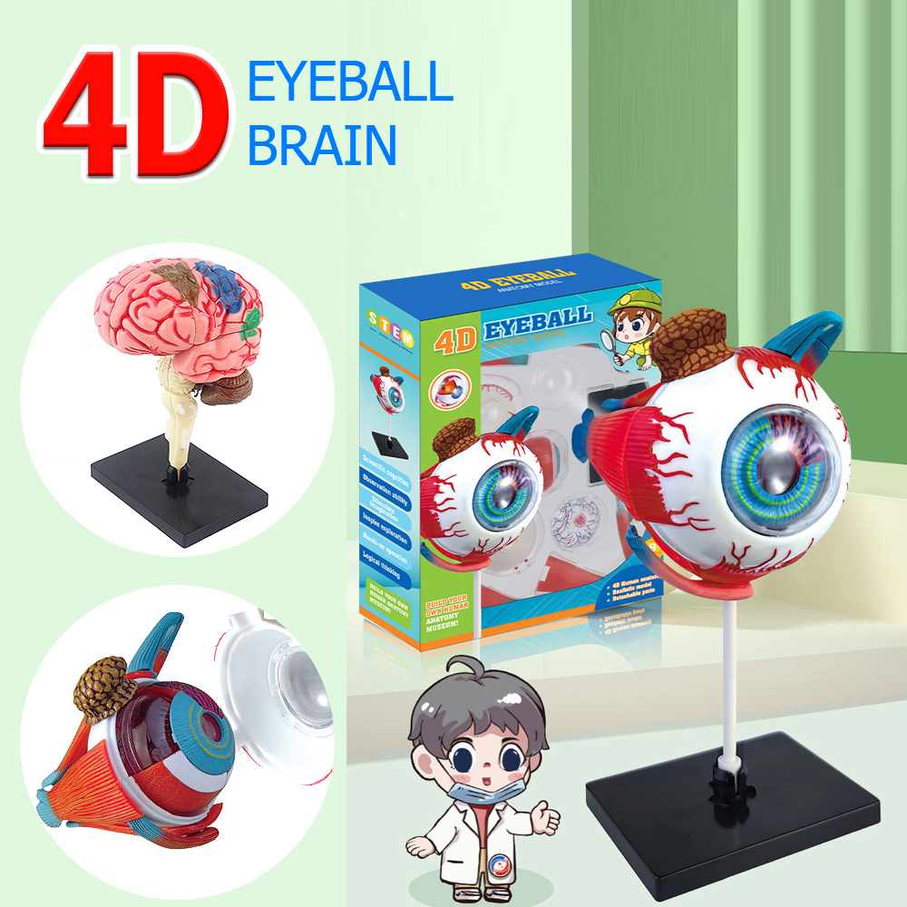 High Quality Arts Crafts Ornam - Art And Craft Science review and price