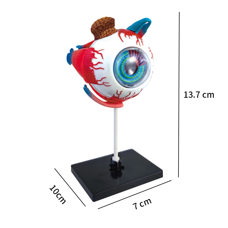 High Quality Arts Crafts Ornam - Art And Craft Science review and price