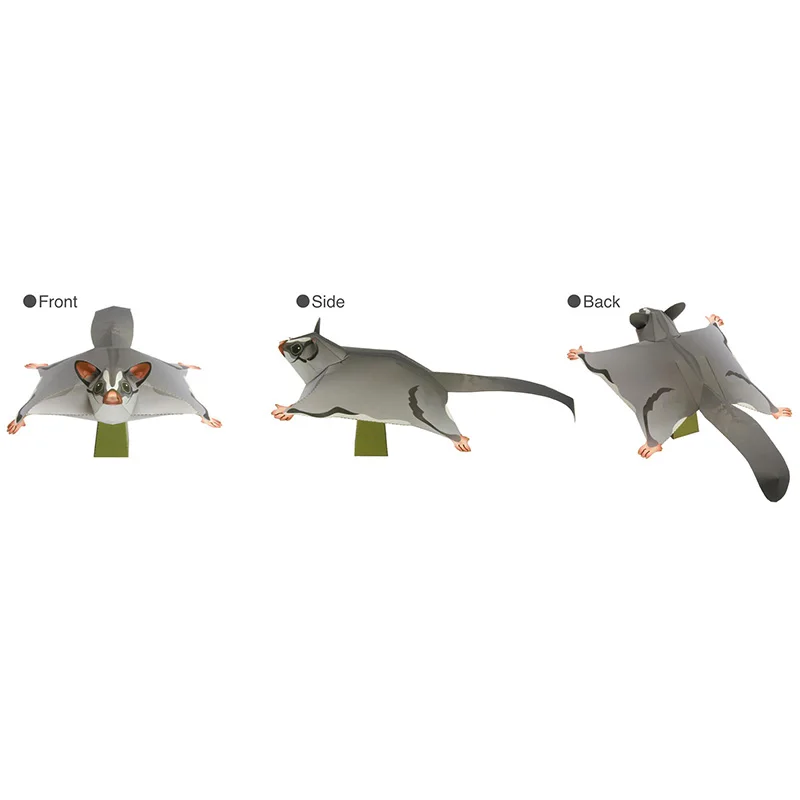 Sugar Glider Flying Mouse Hand - Art Craft With Cardboard review and price