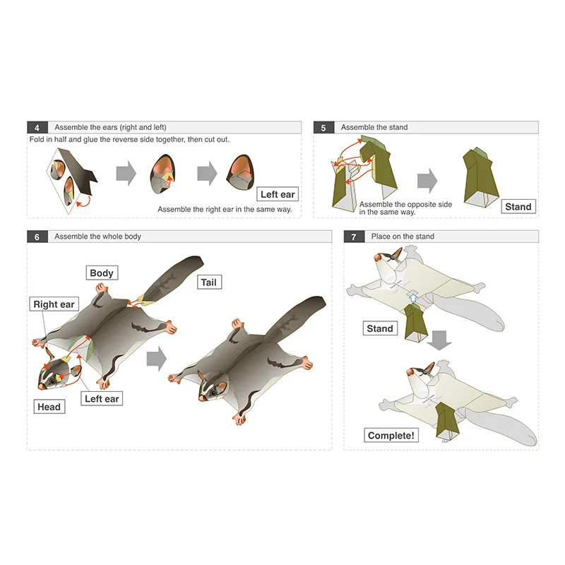 Sugar Glider Flying Mouse Hand - Art Craft With Cardboard review and price